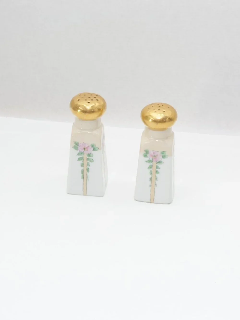 Hand Painted Bavarian Porcelain Salt and Pepperr ShakeSet Floral Design